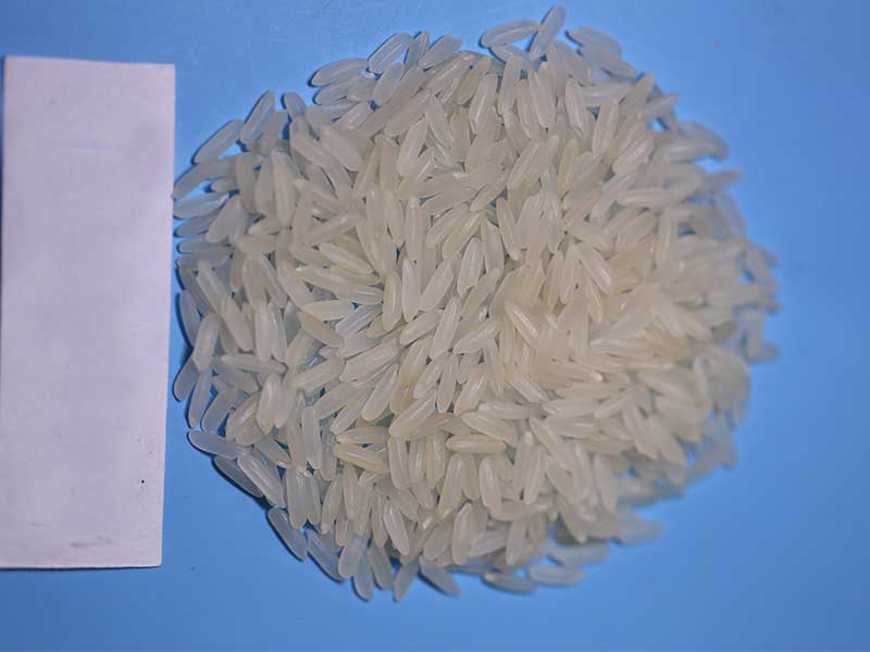 Hunan Xinglong Seed Co.Ltd. ,Rice planting in Changsha,Breeding of crop varieties in Changsha