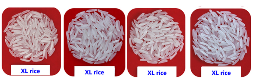 Hunan Xinglong Seed Co.Ltd. ,Rice planting in Changsha,Breeding of crop varieties in Changsha