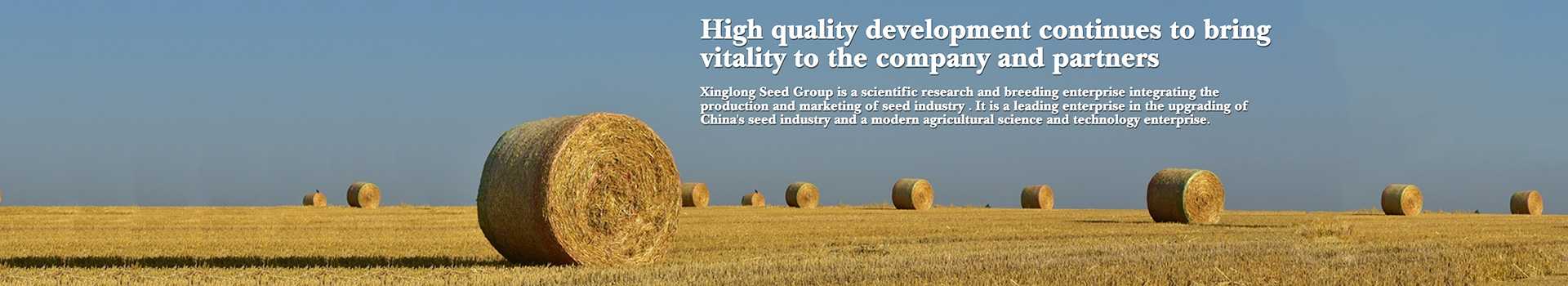 Hunan Xinglong Seed Co.Ltd. _Rice planting in Changsha